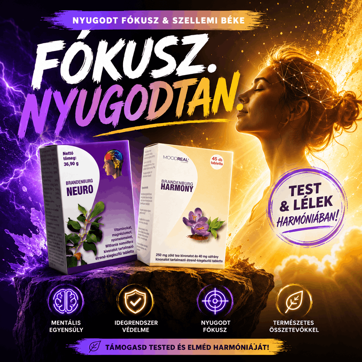 A modern fókusz biokémiája és fenntartása