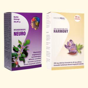 Névtelen terv Brand Focus